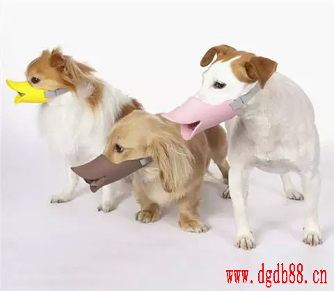 矽(guī)膠製品