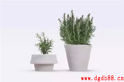 矽膠製品